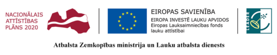 Logo ansamblis - Naconālais attīstības plāns 200, ES un LEDER