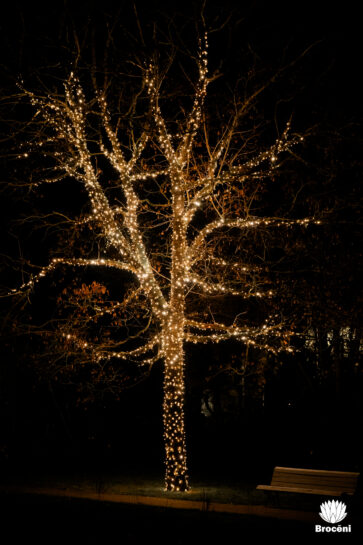 Lacplesadiena Broceni 25 32