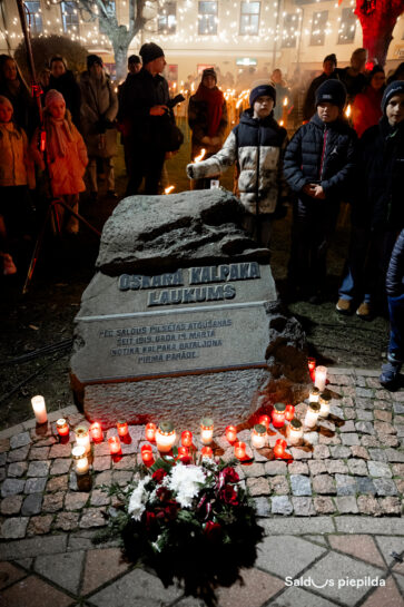 Lacplesadiena Saldus Gr 10