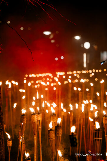 Lacplesadiena Saldus 25 105